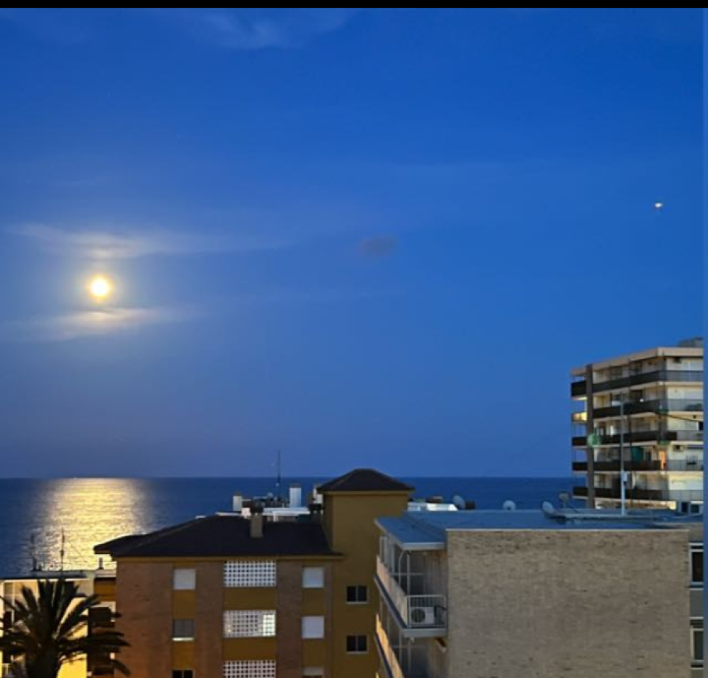  te koop appartement El Campello Alacantí 4