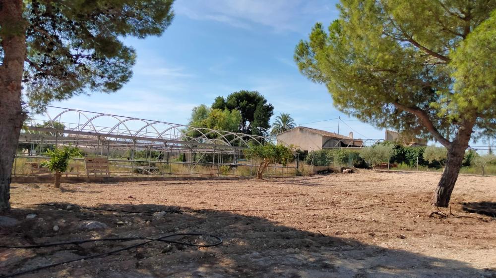  te koop boerderij La Murada Baix Segura 16