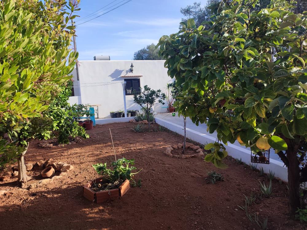  te koop huis Sant Jordi De Ses Salines Sant Josep De Sa Talaia 11