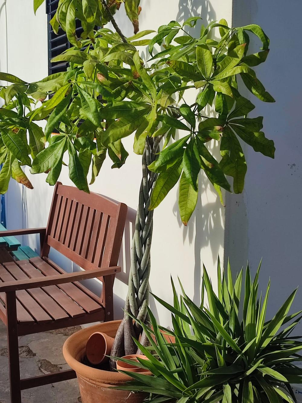  te koop huis Sant Jordi De Ses Salines Sant Josep De Sa Talaia 8