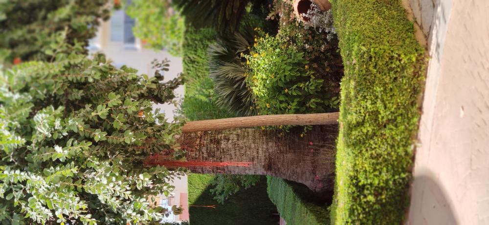  te koop appartement Montañar Marina Alta 16