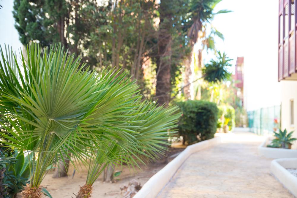  te koop appartement La Duquesa Costa Del Sol Occidental 48