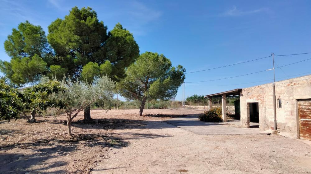  te koop boerderij La Murada Baix Segura 5