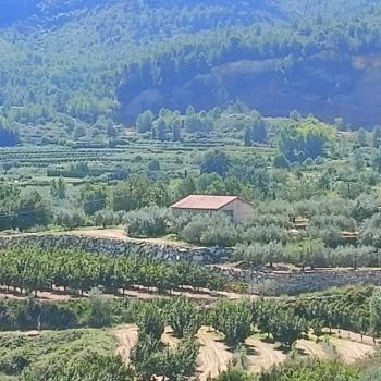 Rugat Vall D''albaida huis foto 5499344