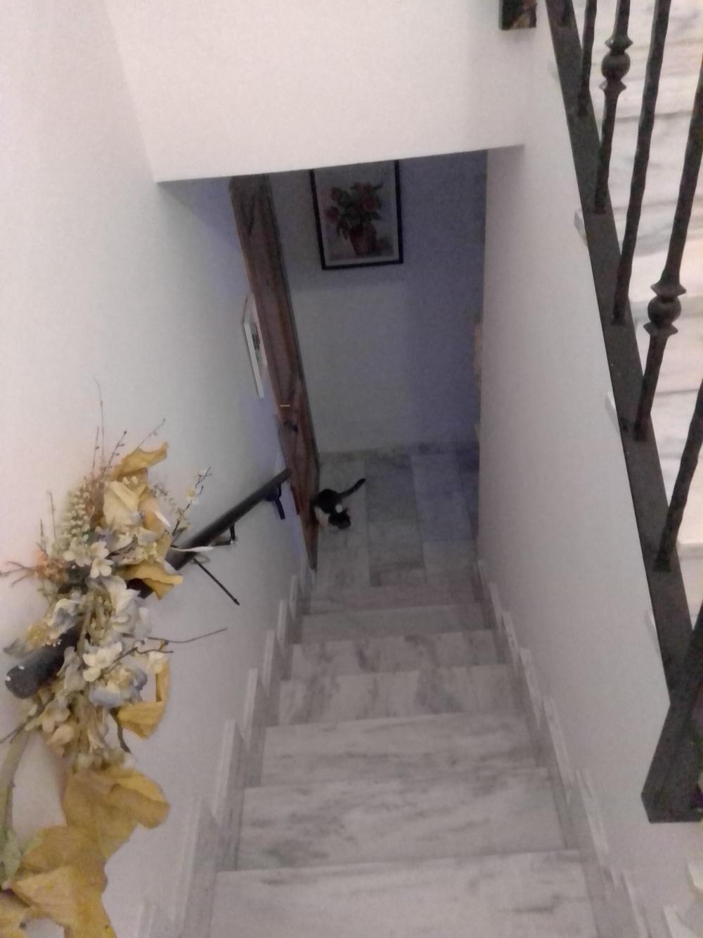  te koop penthouse Pozuelo De Calatrava Campo De Calatrava 7