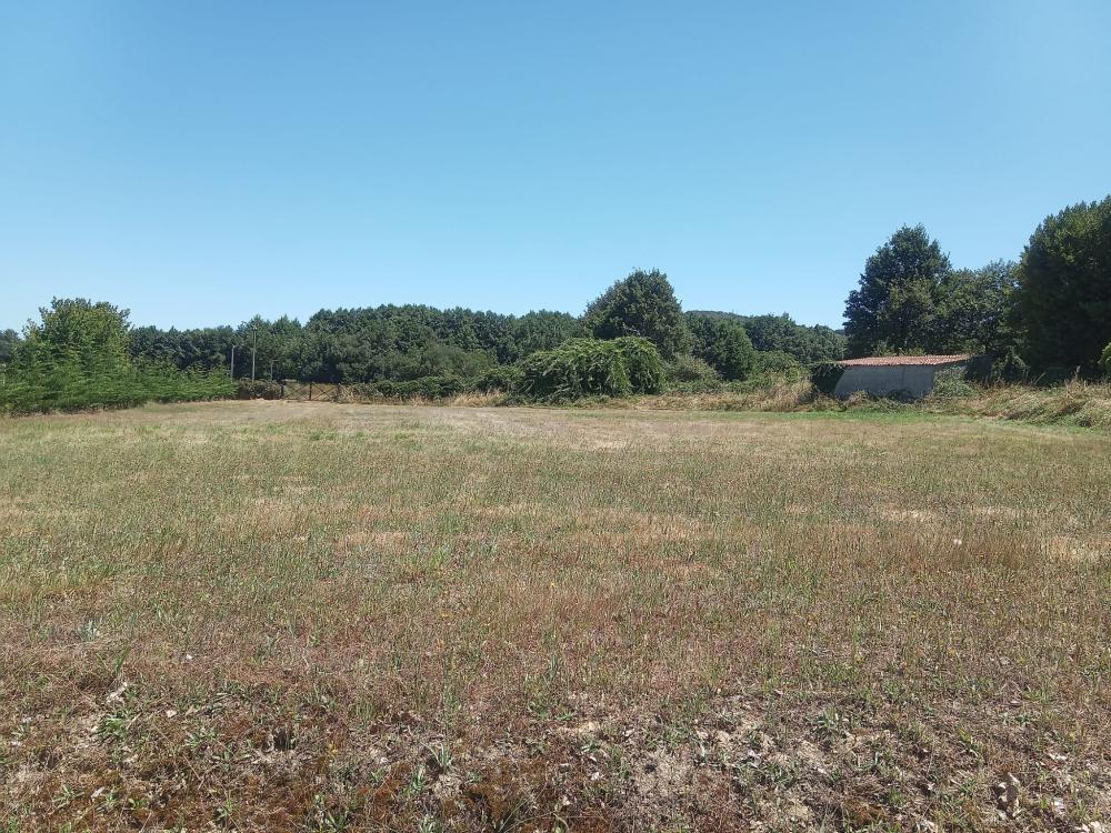  te koop boerderij Guntimil Limia 16