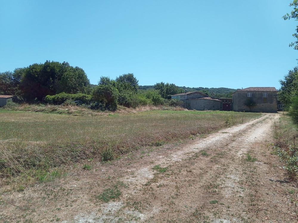  te koop boerderij Guntimil Limia 15
