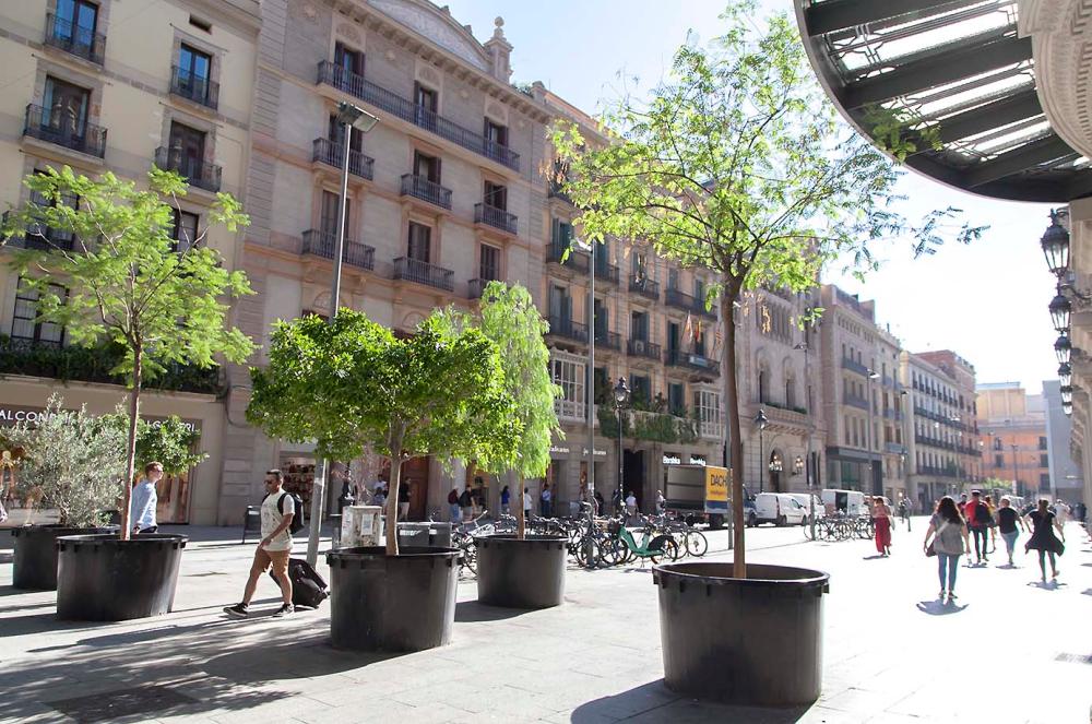  te koop appartement Ciutat Vella-Raval Barcelonès 30