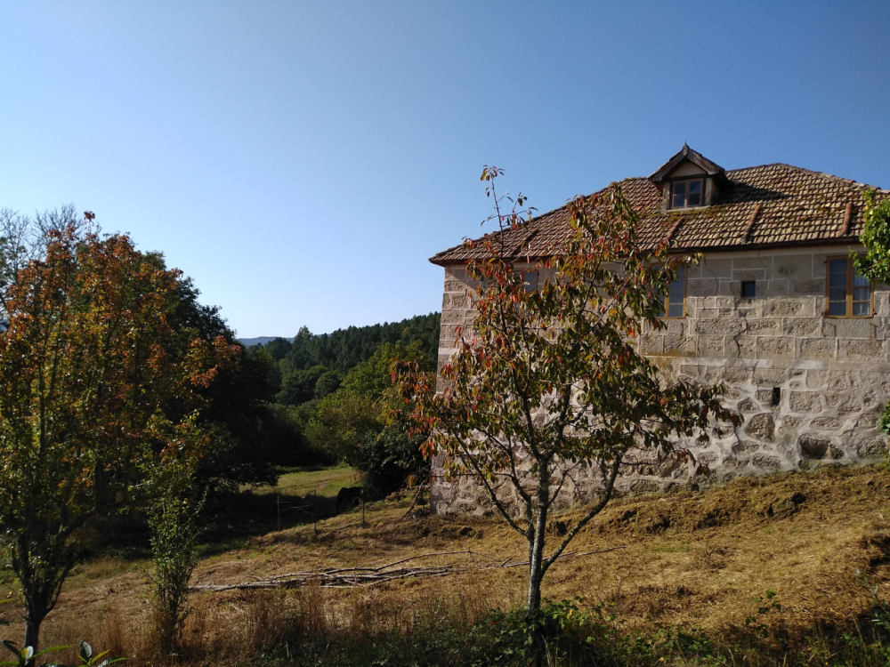  te koop huis Santa Maria Madre Terra Da Celanova 4