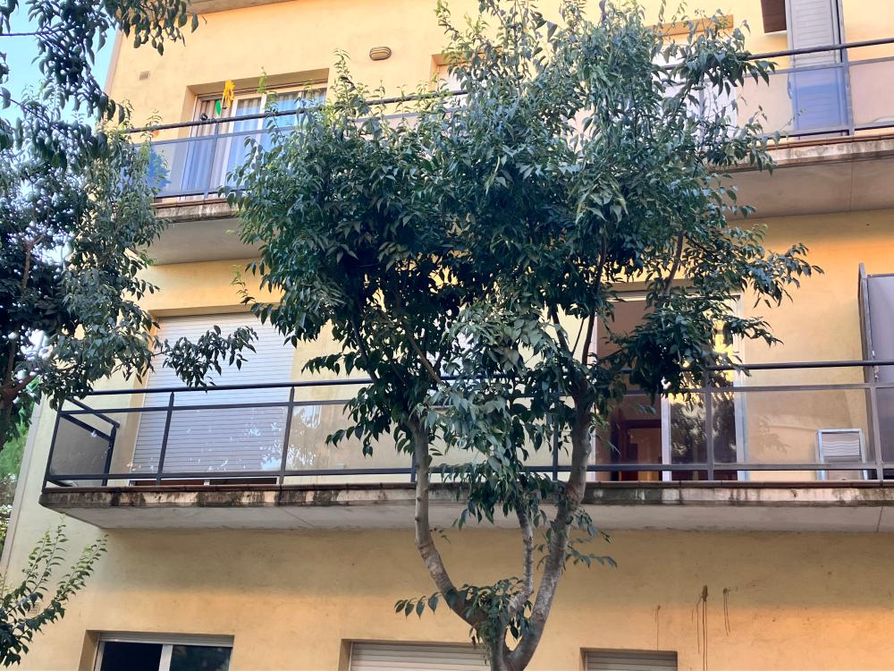 te koop appartement Palafrugell Baix Empordà 2