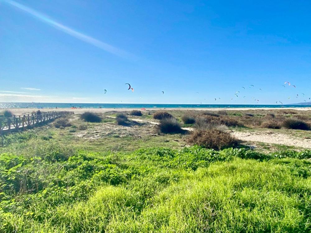  te koop appartement Tarifa Campo De Gibraltar 52
