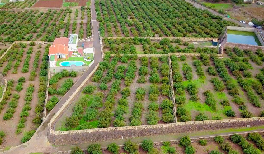  te koop boerderij El Socorro Zona Metropolitana 8