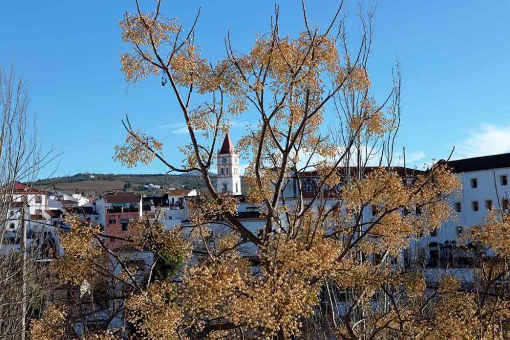  te koop villa Arriate Serranía De Ronda 50