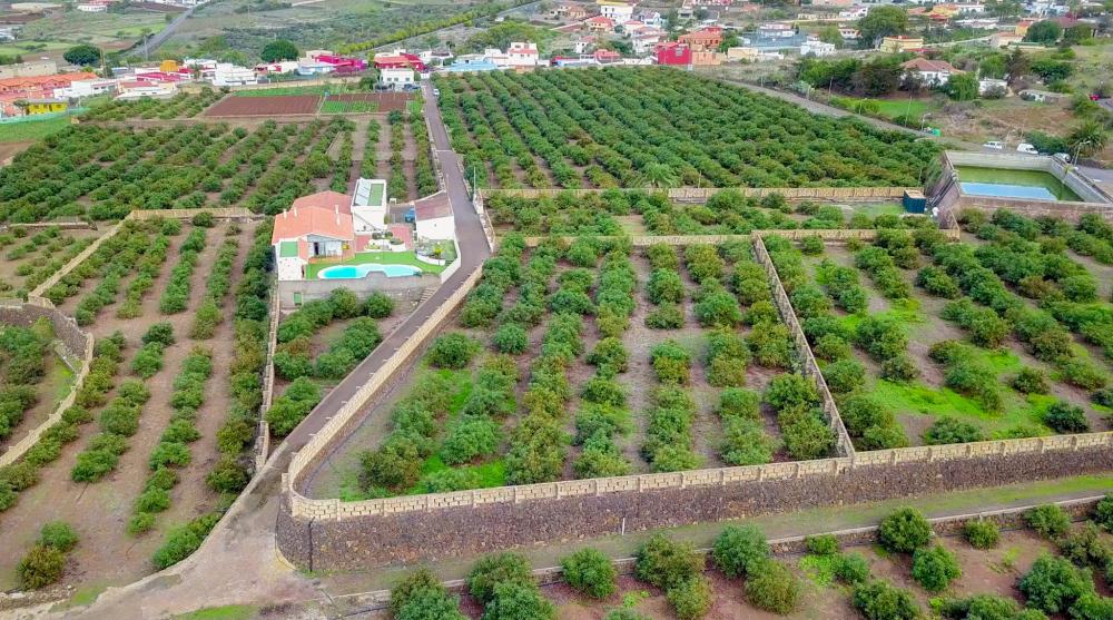  te koop boerderij El Socorro Zona Metropolitana 4