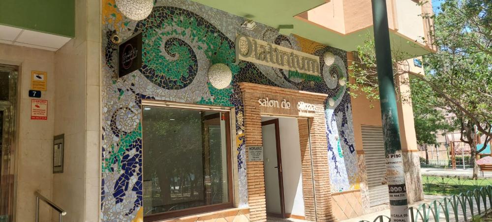  te koop bedrijfsruimte Málaga Centro 29009 Málaga-Costa Del Sol 6