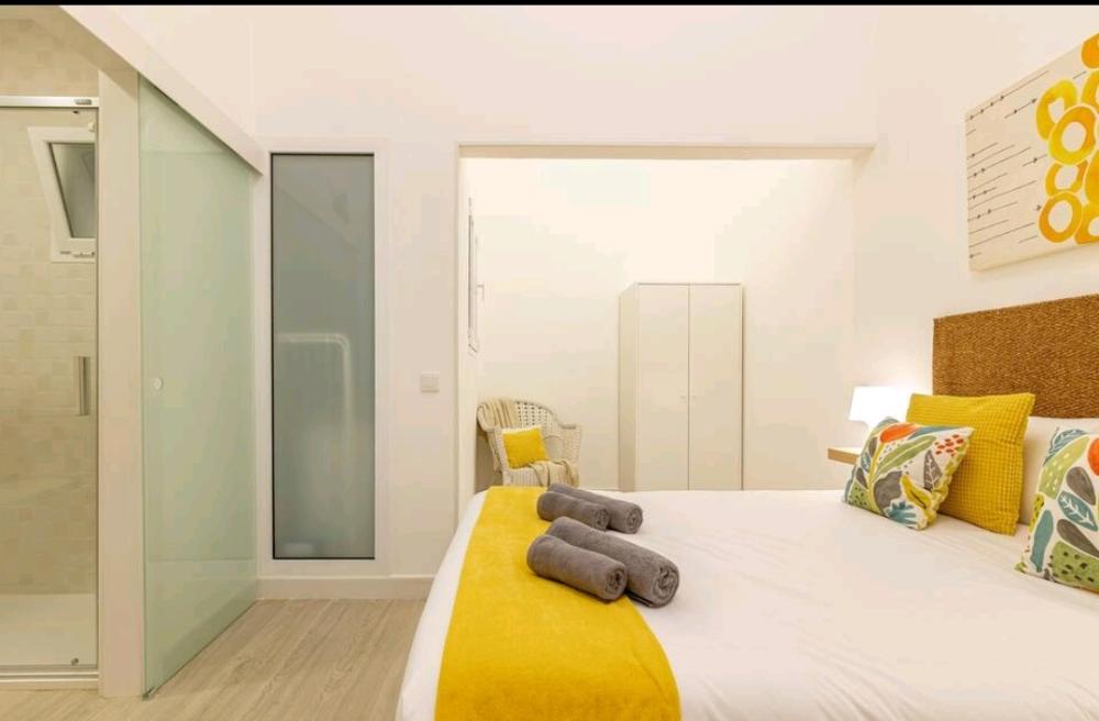  te koop appartement Triana Palmas De Gran Canaria (Las) 15