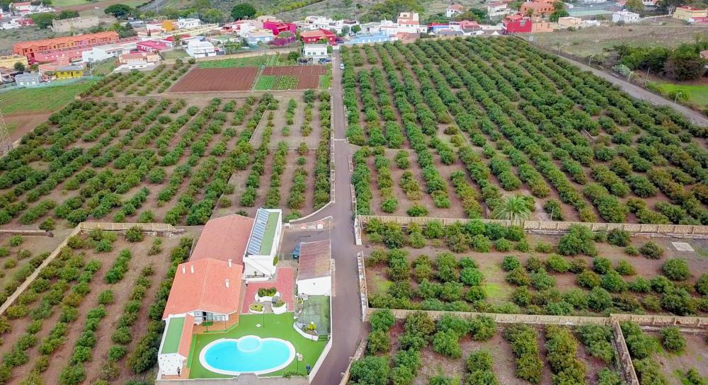  te koop boerderij El Socorro Zona Metropolitana 6