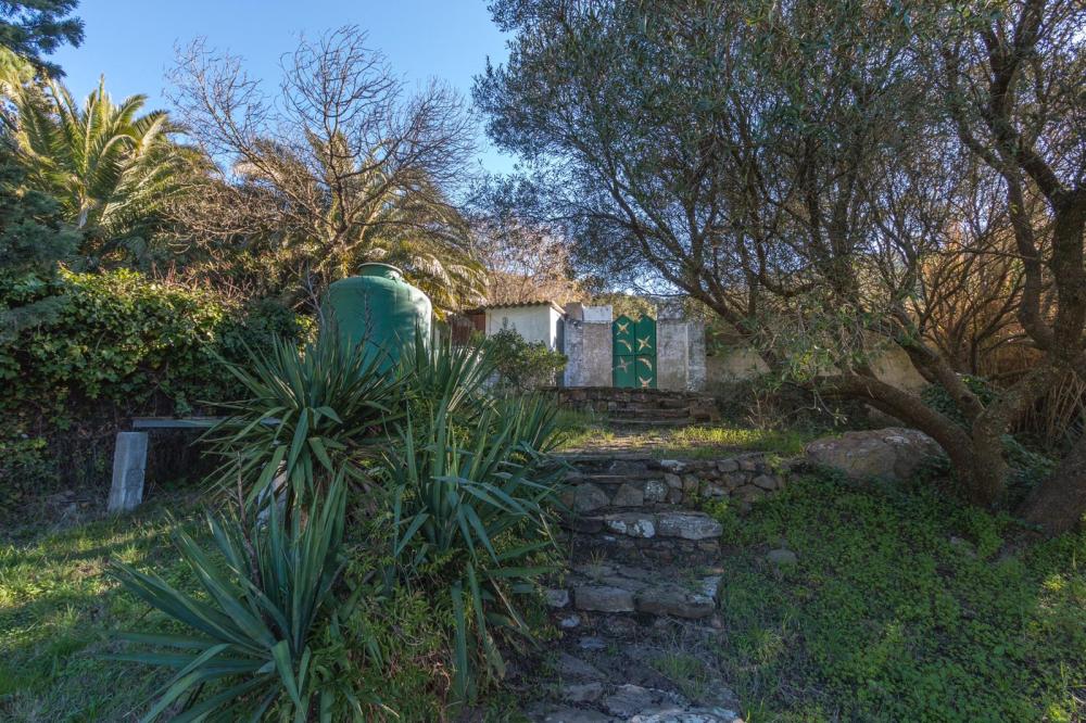  te koop appartement Tarifa Campo De Gibraltar 22