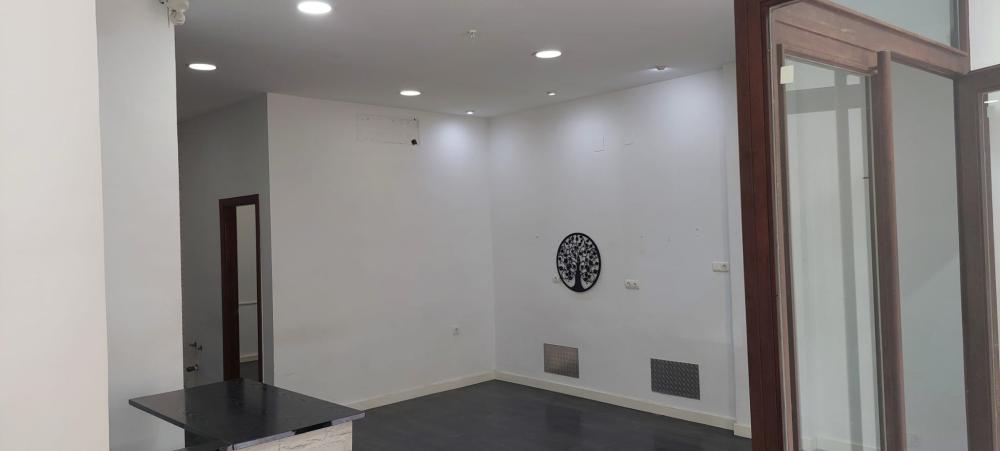  te koop bedrijfsruimte Málaga Centro 29009 Málaga-Costa Del Sol 20