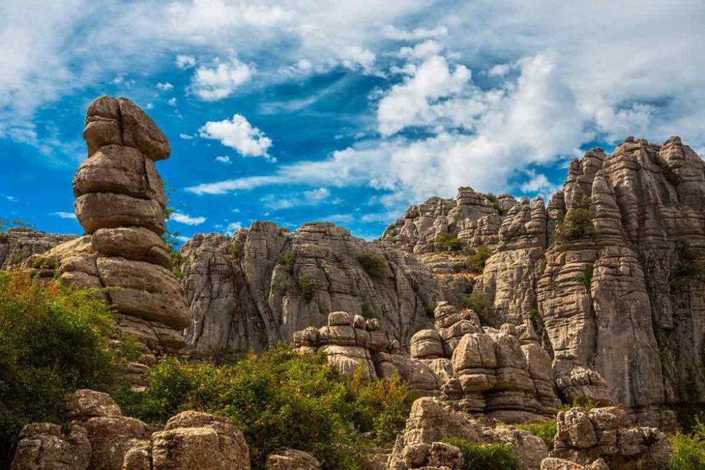  te koop villa Arriate Serranía De Ronda 57
