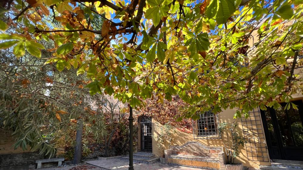  te koop villa Biar Alt Vinalopó 19
