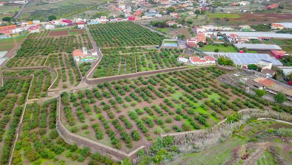  te koop boerderij El Socorro Zona Metropolitana 9