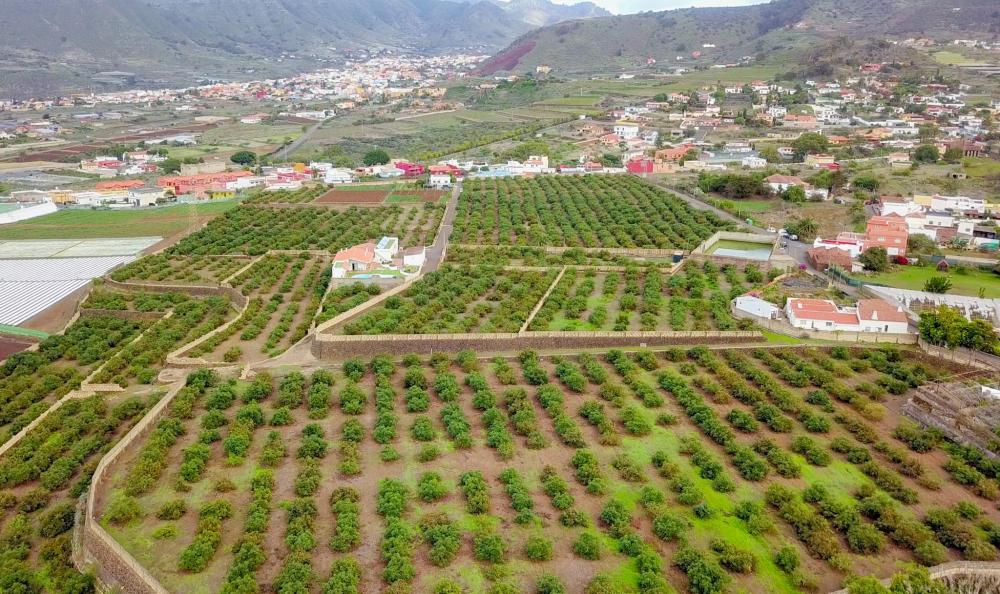 te koop boerderij El Socorro Zona Metropolitana 7