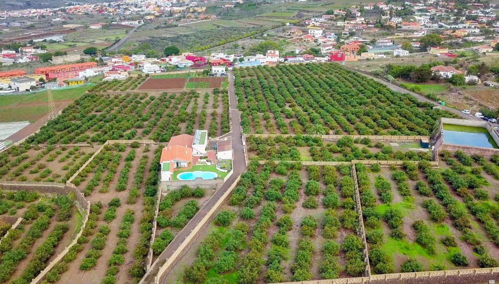  te koop boerderij El Socorro Zona Metropolitana 11