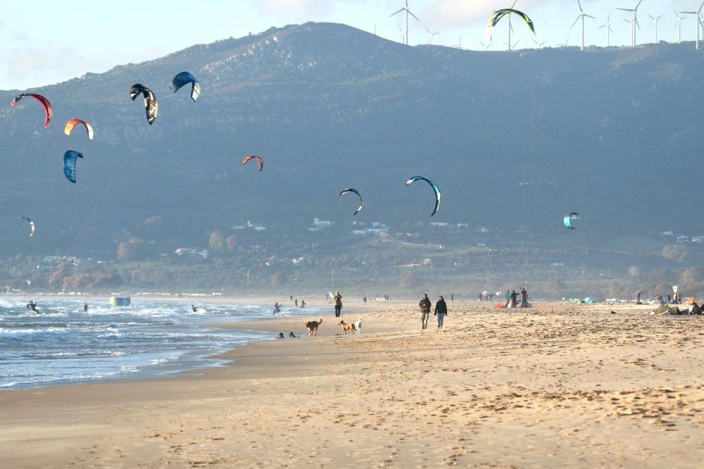  te koop appartement Tarifa Campo De Gibraltar 50