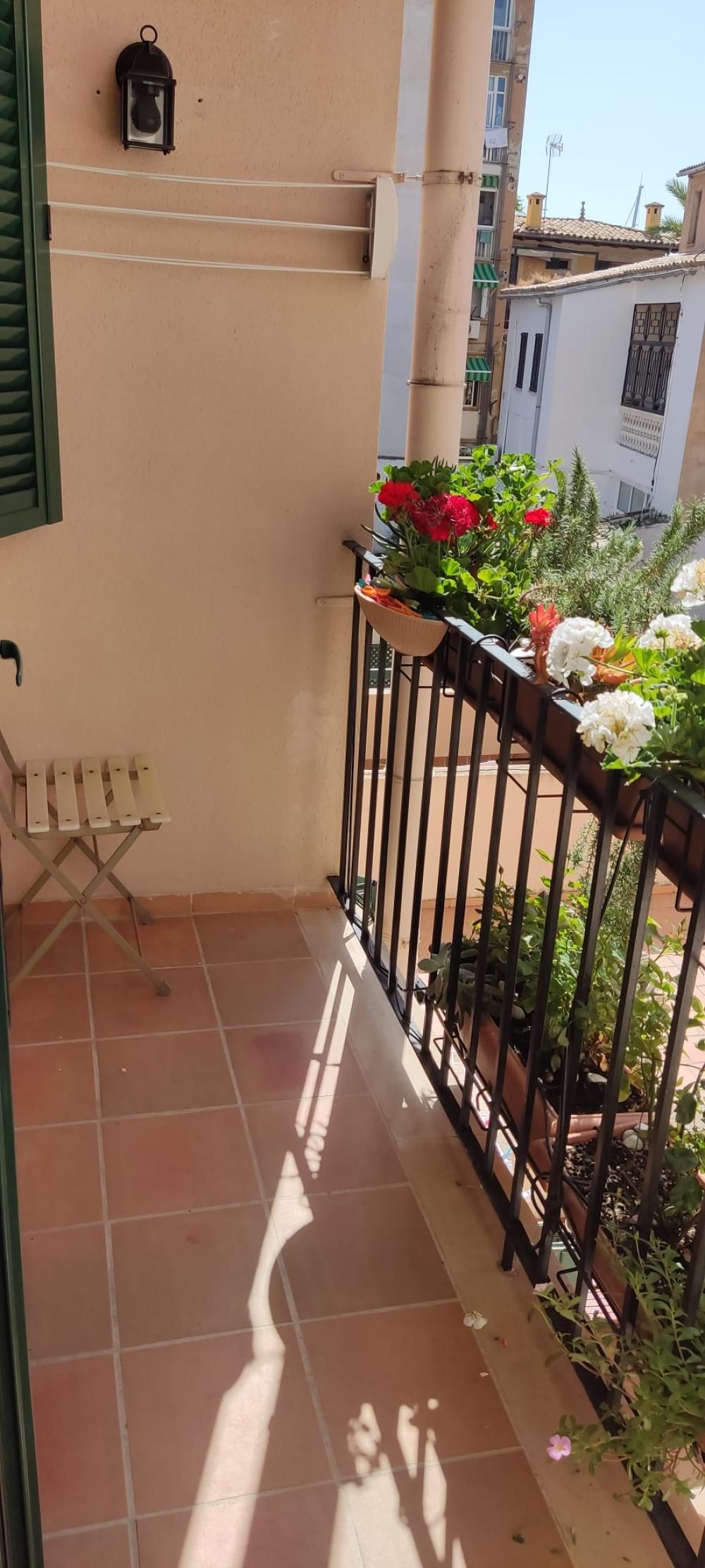  te koop twee-onder-een-kapwoning Son Armadams-El Terreno Palma 4