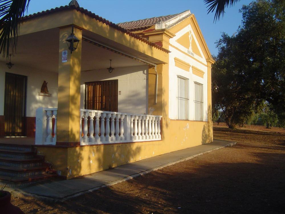  te koop boerderij Almendralejo Tierra De Barros 3