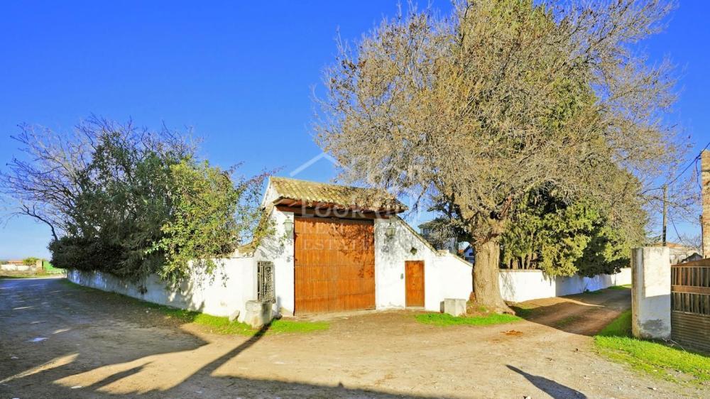  te koop boerderij Ronda Vega De Granada 4