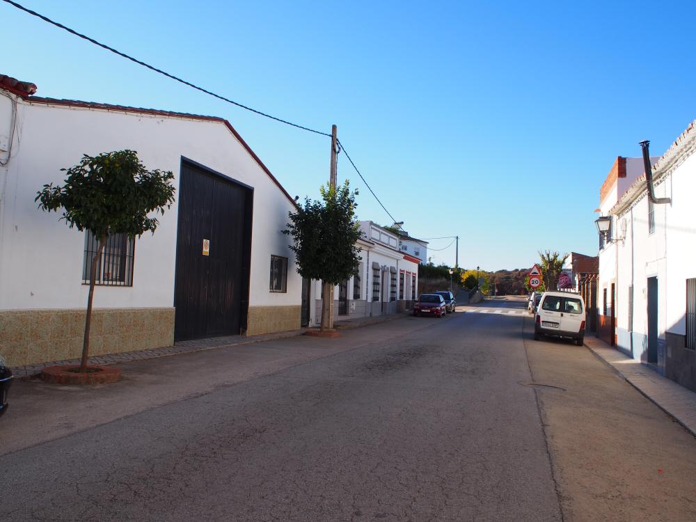  te koop huis Puebla Del Maestre Campiña Sur 5