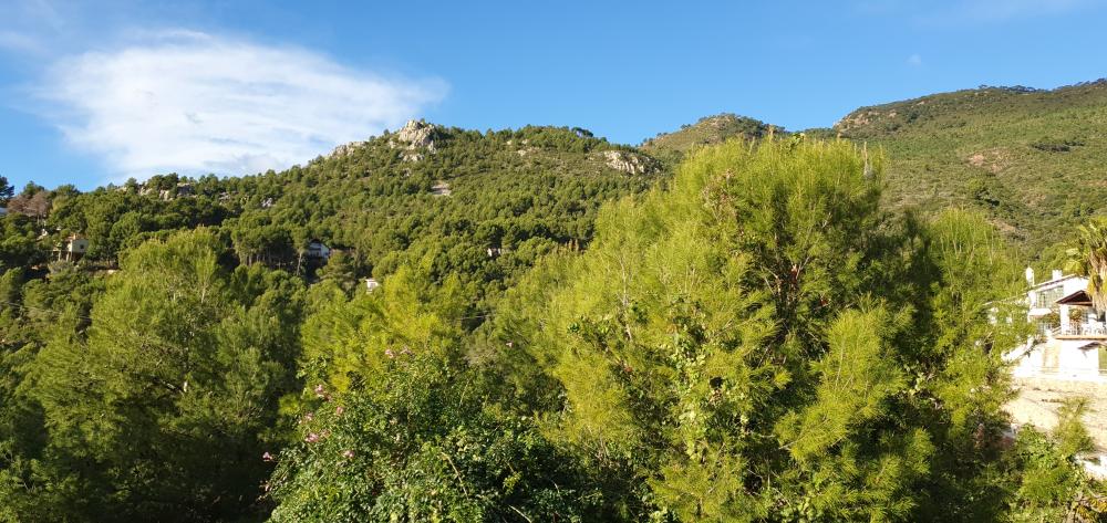  te koop villa Benicasim Plana Alta 40
