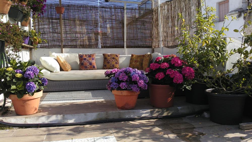  te koop huis Vejer De La Frontera Janda (La) 3