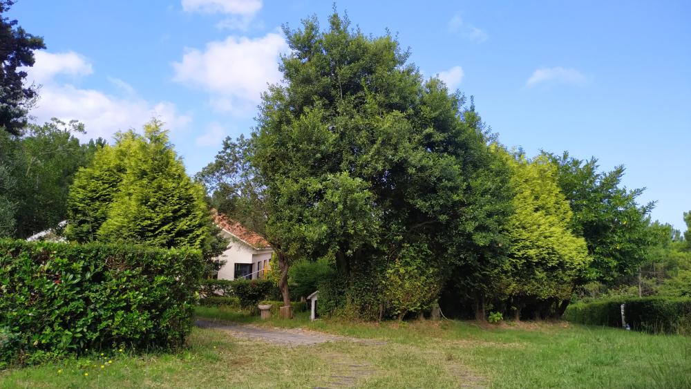  te koop huis A Brixeria Bergantiños 27