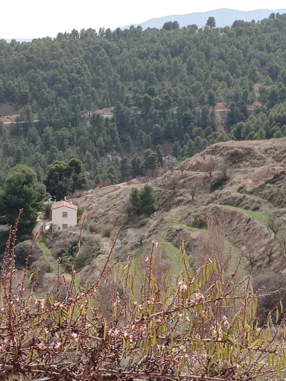  te koop boerderij Vélez Blanco Comarca De Los Vélez 6