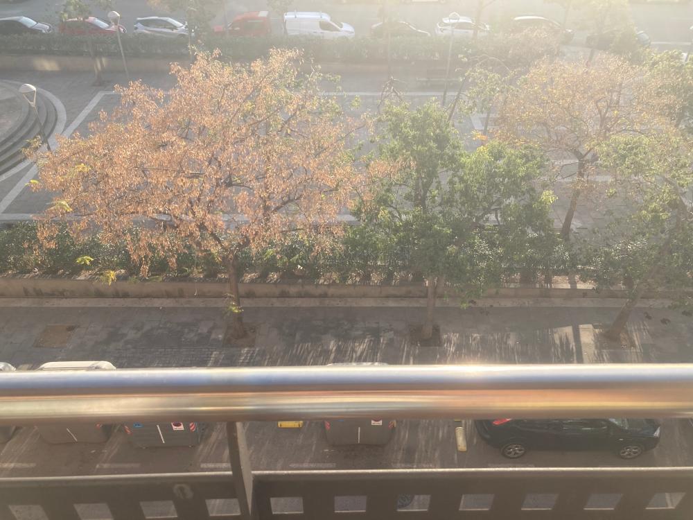  te koop appartement L'hospitalet De Llobregat Centre Barcelonès 20