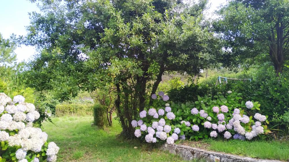  te koop huis A Brixeria Bergantiños 31