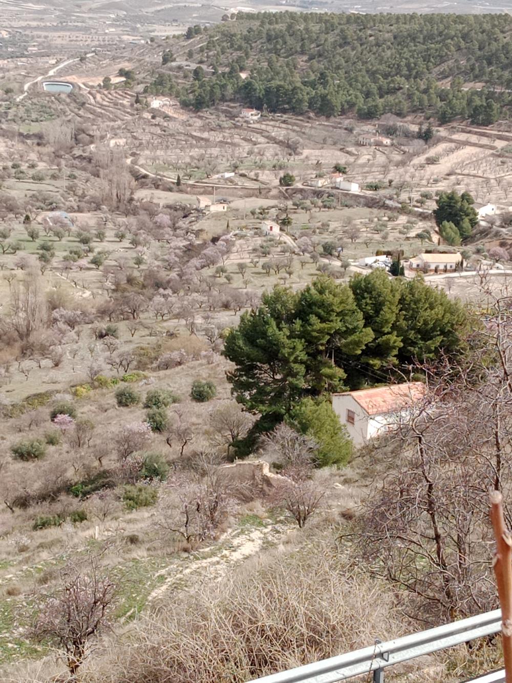  te koop boerderij Vélez Blanco Comarca De Los Vélez 5