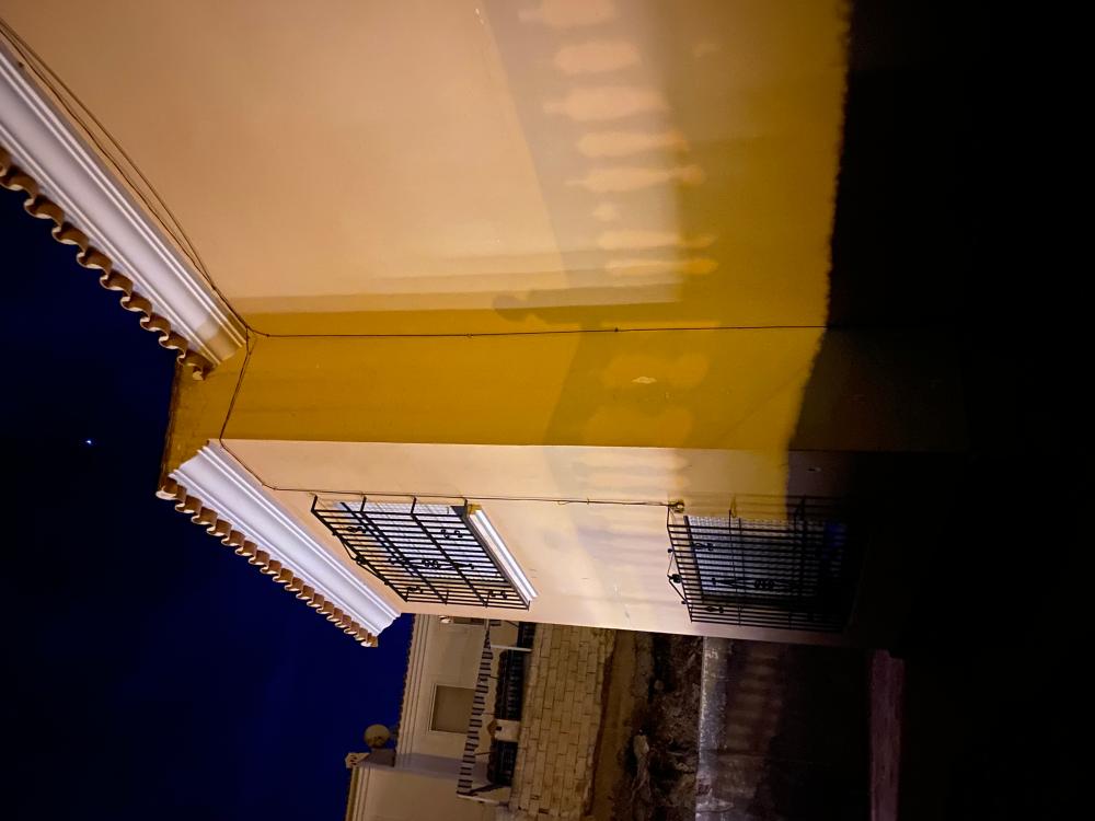  te koop villa Benajarafe Axarquía 16