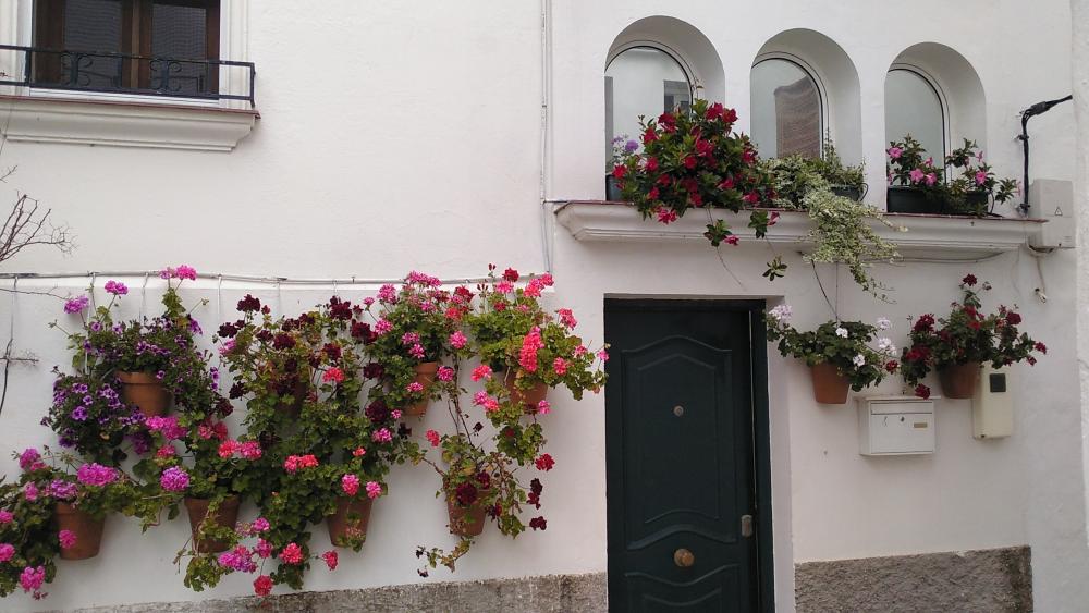  te koop huis Vejer De La Frontera Janda (La) 14