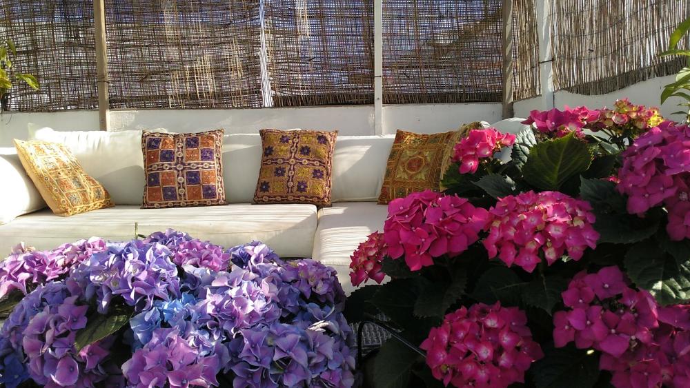  te koop huis Vejer De La Frontera Janda (La) 2