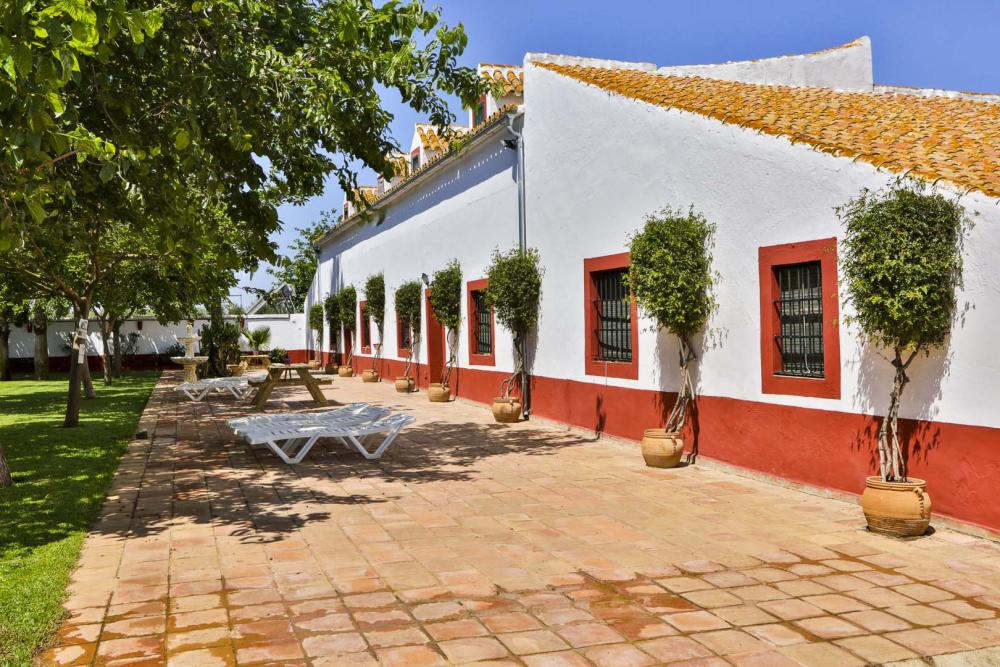  te koop villa Carmona Campiña De Carmona 14
