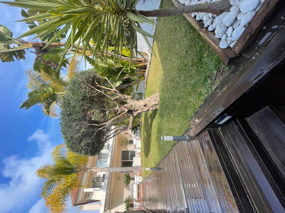  te koop villa Paterna Horta Oest 6