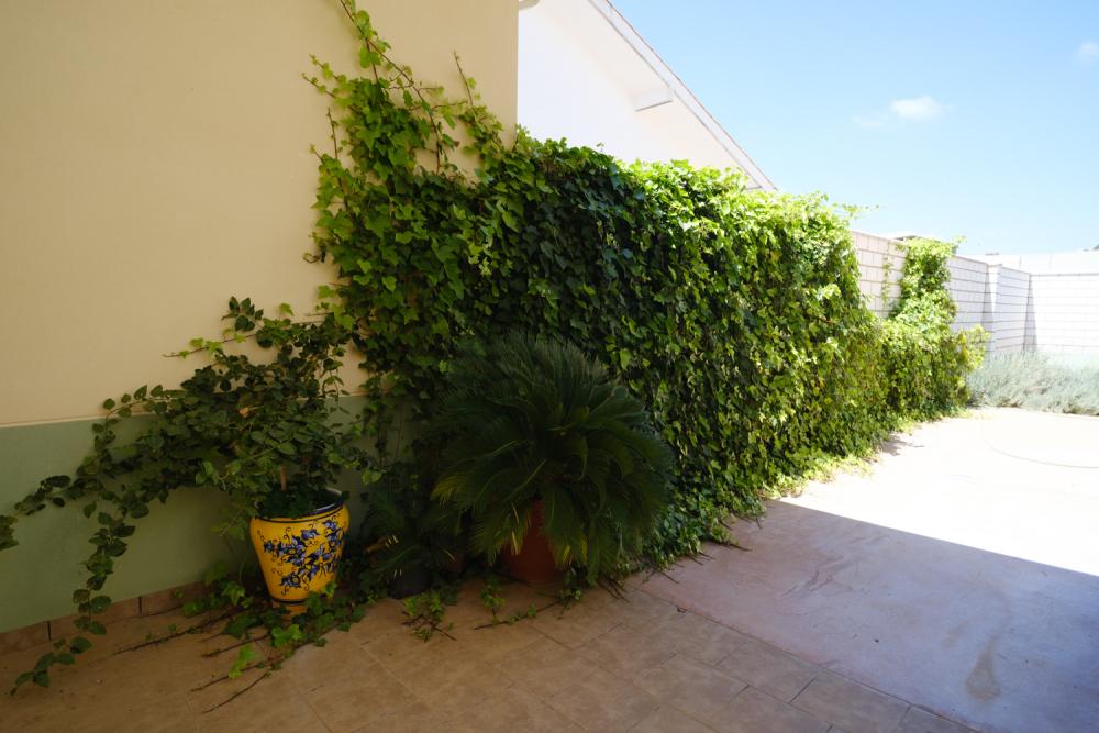  te koop villa Peñarroya-Pueblonuevo Valle Del Guadiato 16