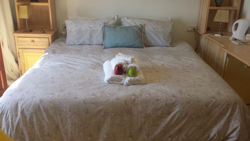 te koop villa Nerja Axarquía 29