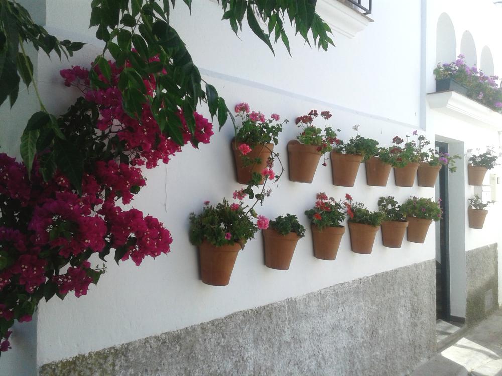  te koop huis Vejer De La Frontera Janda (La) 13