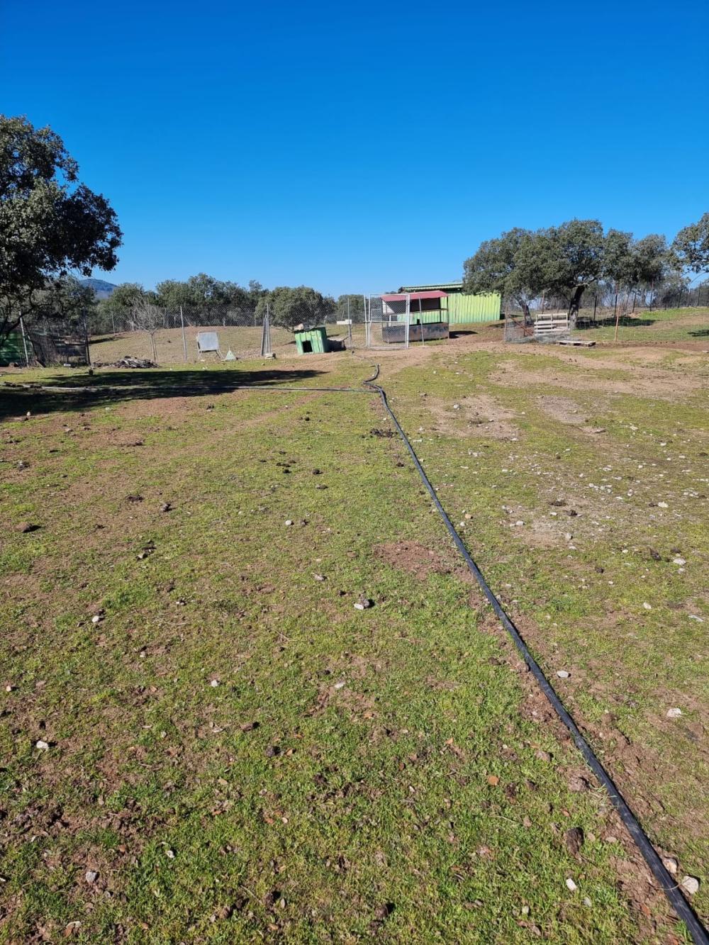  te koop boerderij Pozoblanco Pedroches (Los) 20
