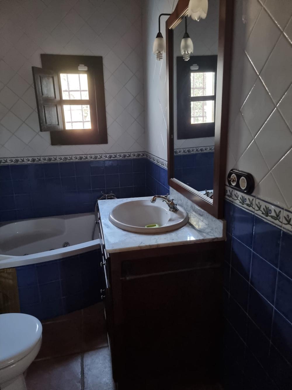  te koop boerderij Pozoblanco Pedroches (Los) 13